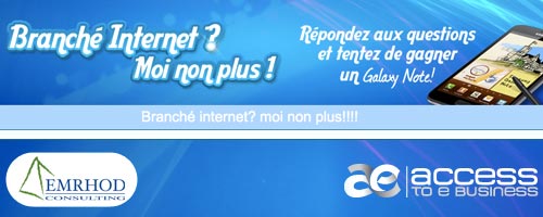 Branché internet ? une étude sur le web par Access to e-business et Emrhod