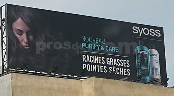 Campagne SYOSS - Mars 2017
