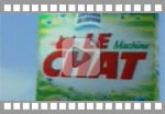 Le chat