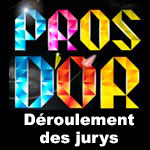 Jury pour les Pros d'Or 2012 