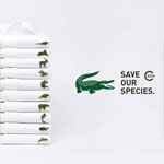 En vidéo : Pourquoi Lacoste change (momentanément) son célèbre crocodile