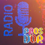 Gagnants catégorie Radio : Pros d'Or 2012