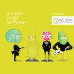 Wezign agence interactive recrute