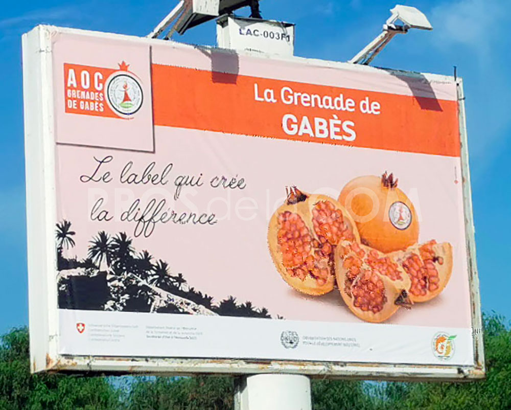 Campagne La grenade de Gabès - Octobre 2021