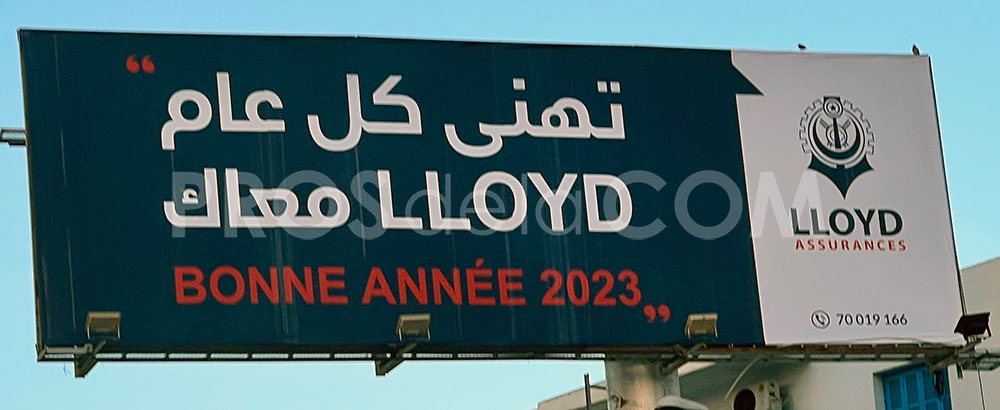 Campagne Lloyd - Décembre 2022