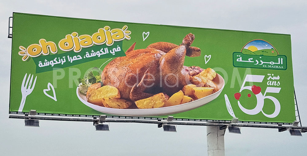 Campagne El Mazraa - Février 2024