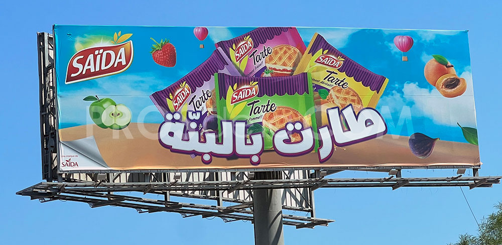 Campagne Saida - Septembre 2023