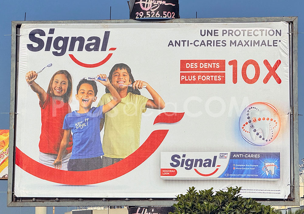 Campagne Signal - Août 2024