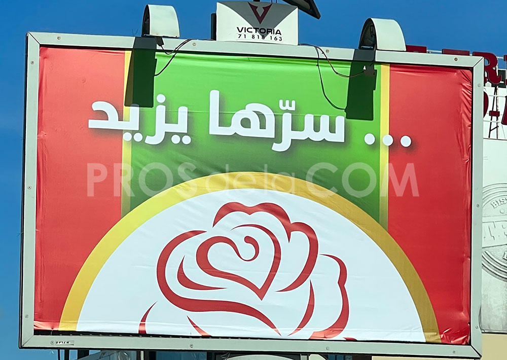 Campagne Warda - Mars 2023