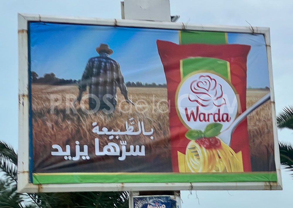 Campagne Warda - Mars 2023